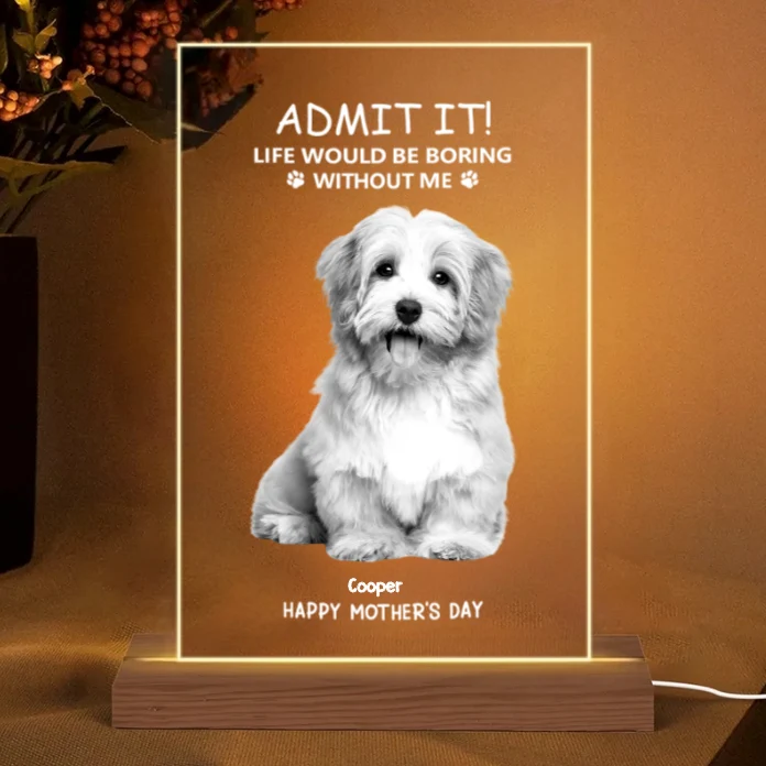 Personalized Pet Rectangular Pillow – Humorous Pet-Themed Design, Special Gift for Pet Lovers - Image 8